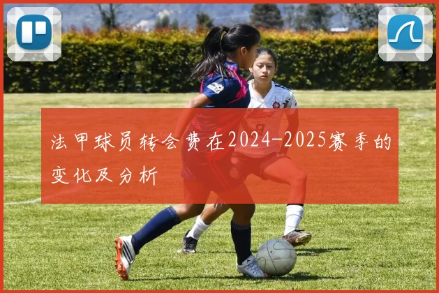 法甲球员转会费在2024-2025赛季的变化及分析