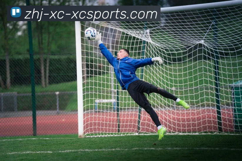 杏彩体育APP 封面图