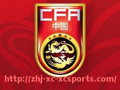 杏彩体育-2022年意甲各球队薪资水平及球员待遇分析