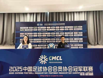 杏彩体育-德甲各支足球队基本情况与解说词模板整理